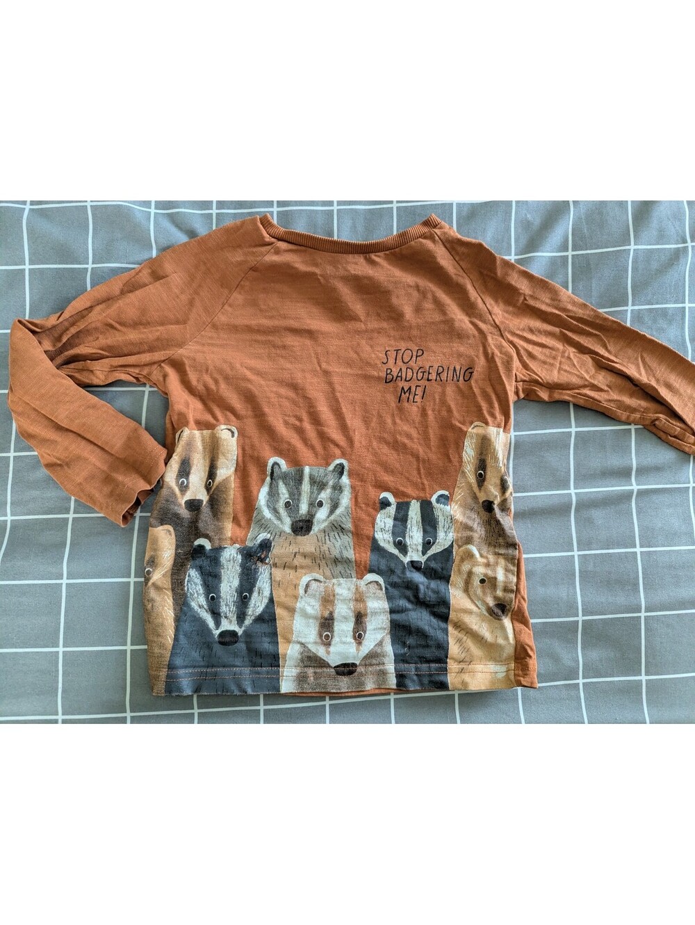 Badgers top